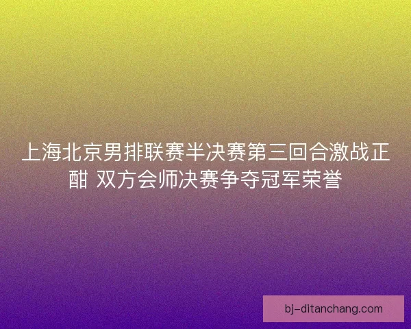 上海北京男排联赛半决赛第三回合激战正酣 双方会师决赛争夺冠军荣誉