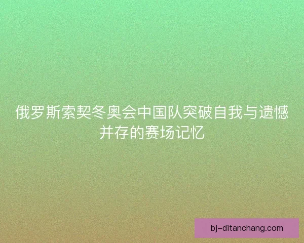 俄罗斯索契冬奥会中国队突破自我与遗憾并存的赛场记忆