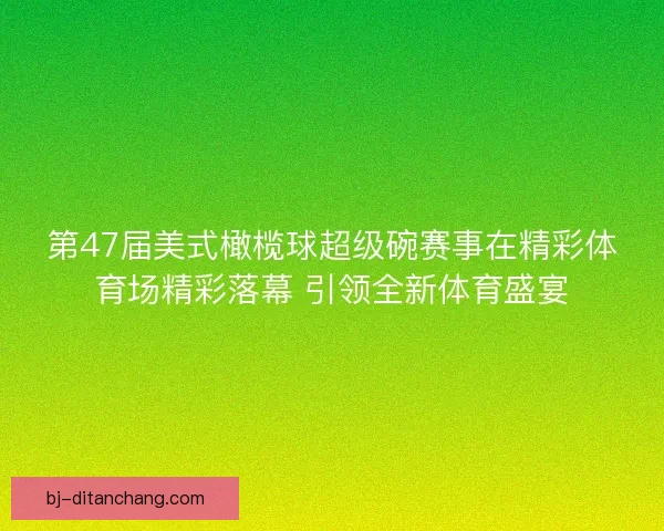 第47届美式橄榄球超级碗赛事在精彩体育场精彩落幕 引领全新体育盛宴