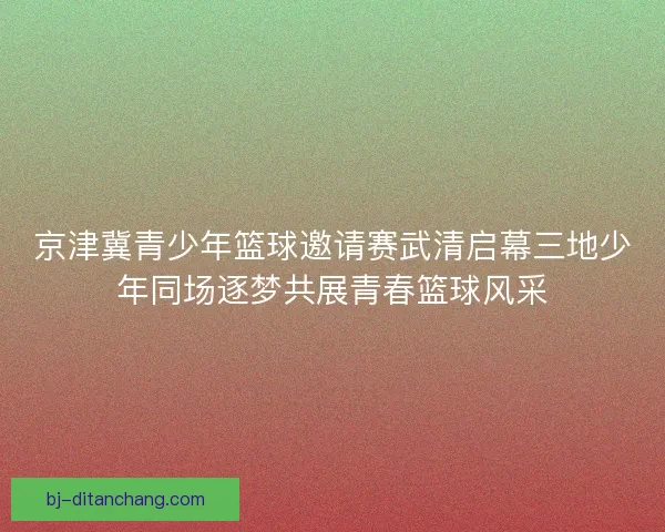 京津冀青少年篮球邀请赛武清启幕三地少年同场逐梦共展青春篮球风采