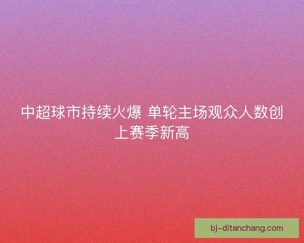 中超球市持续火爆 单轮主场观众人数创上赛季新高