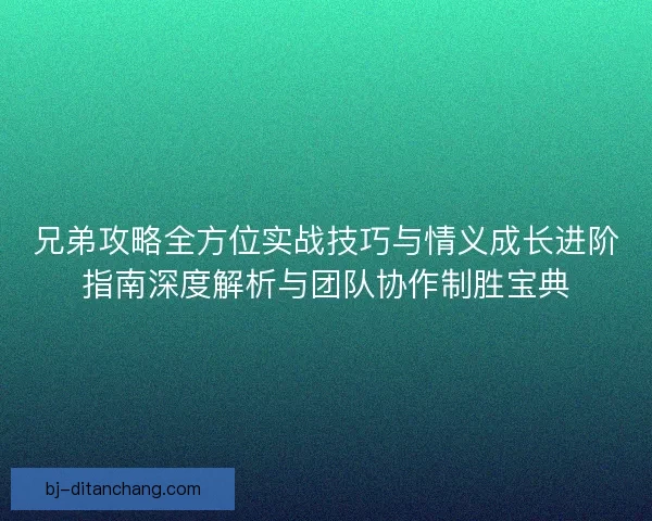 兄弟攻略全方位实战技巧与情义成长进阶指南深度解析与团队协作制胜宝典