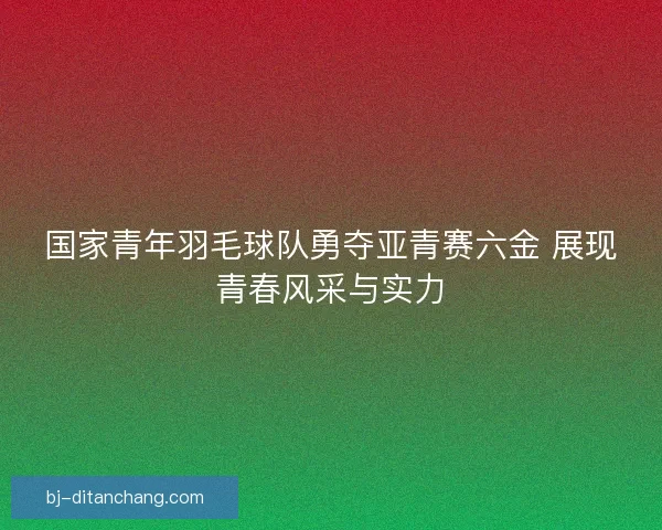 国家青年羽毛球队勇夺亚青赛六金 展现青春风采与实力
